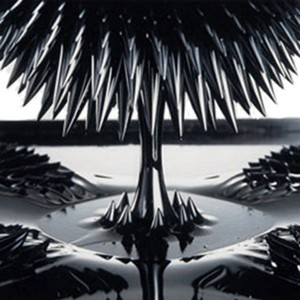 FERROFLUID-1000 | 1000 ml Efh1 Magnetic Domain Visualiztion Fluid