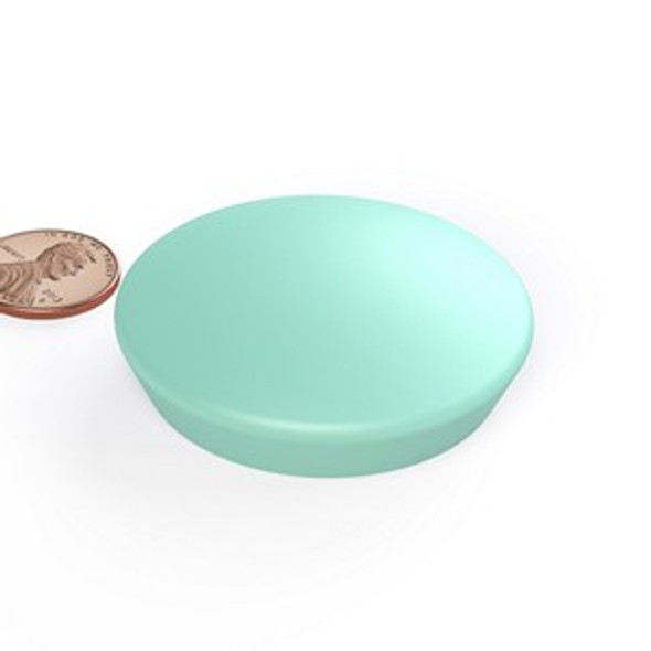 WB626P MINT jumbo neodymium magnet encased glassboard button magnet  large neodymium glassboard button magnet for architectural and office display systems  Amazing Magnets