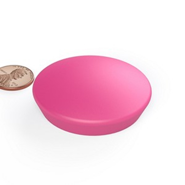 WB626P PINK jumbo neodymium magnet encased glassboard button magnet  large neodymium glassboard button magnet for architectural and office display systems  Amazing Magnets