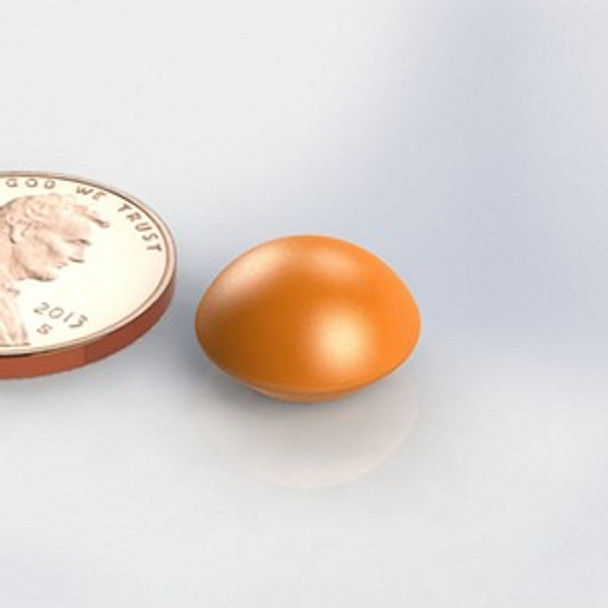 WB250D ORANGE small neodymium magnet whiteboard button magnet  large neodymium glassboard button magnet for architectural and office display systems  Amazing Magnets