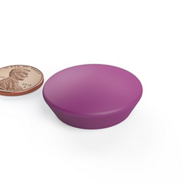WB470J PURPLE large neodymium magnet glassboard button magnet  large neodymium glassboard button magnet for architectural and office display systems  Amazing Magnets