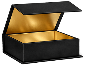 Hinged ridged box with front tab