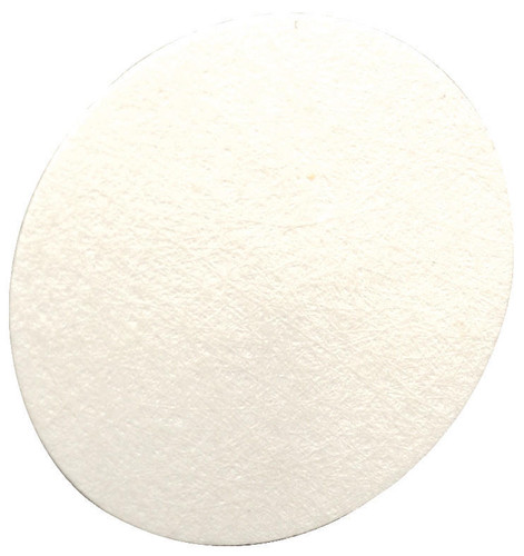 MSA MSA Filter Inlet 710917 - Water - HYDRPHBC