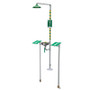  Haws® 8300FP Emergency Freeze Protected Shower and Eye/Face Wash 