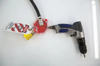 その他 non defective Pandeiro 08'' Hide head | A351308