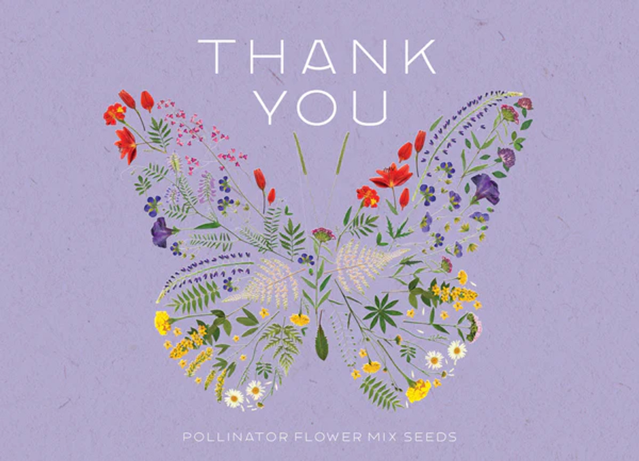 THNK YOU BUTTRFLY POLLINATOR