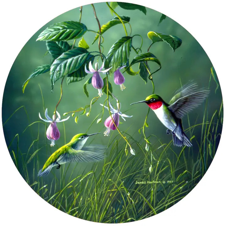 HB HUMMNGBRD FUSHIA JAR OPNR