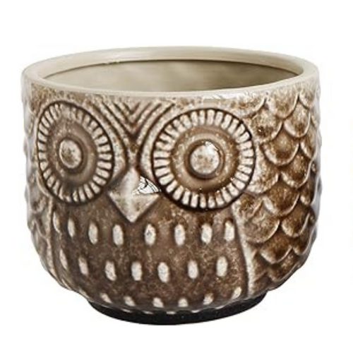 LG OWL PLANTER