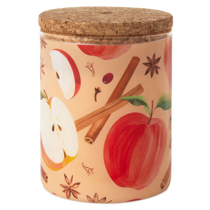 CANDLE CINN WISH