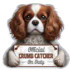 CAVALIER KING CHIP CLIP