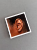 Sterling silver whale tail earrings