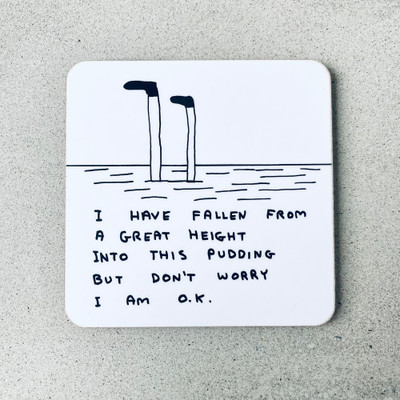Fallen In To This Pudding David Shrigley Coaster Fallen In To This Pudding David Shrigley Coaster