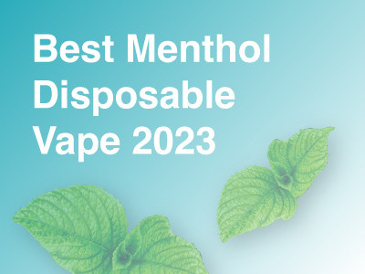 Best Menthol Disposable Vape 2023