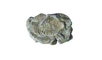 Wind Rock Mold