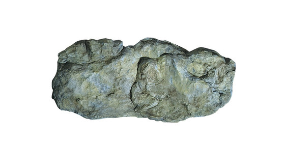 Washed Rock Mold Washed Rock Mold