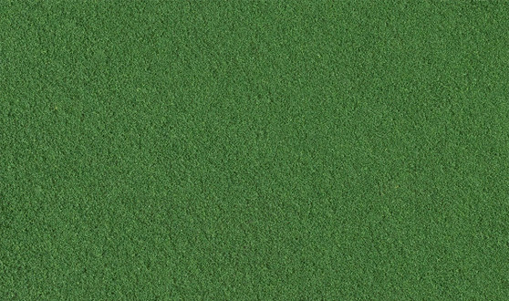 T1346 Weeds | Fine Turf | Shaker