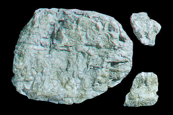 Woodland Scenics C1235 Rock Mold - Laced Face Rock