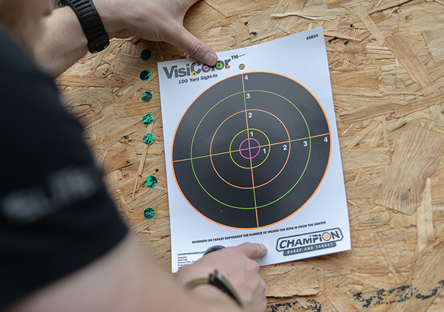 champion target brand