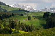 Pretty Landscape