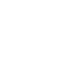 Playset Icon