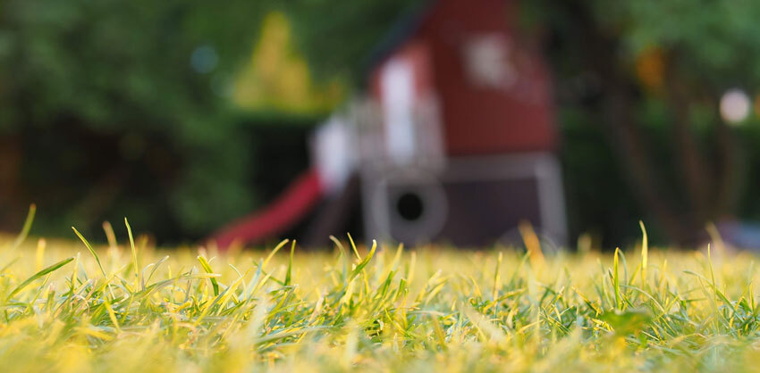 Yard Yard