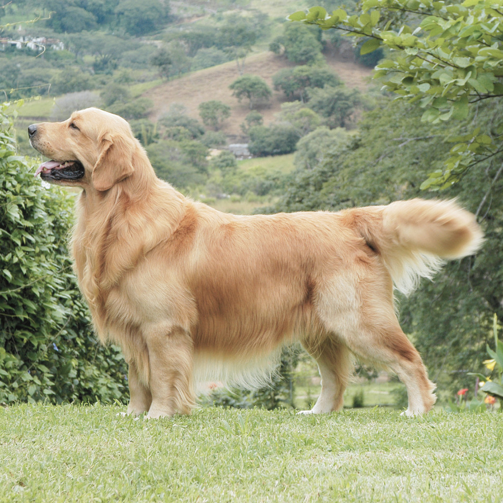 Tell Your Story with Tee Prizes