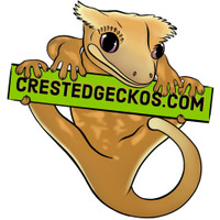 CrestedGeckos.com