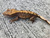 Crested Gecko for sale (Correlophus ciliatus) - CA1