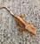 Crested Gecko for sale (Correlophus ciliatus) - BB2
