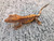 Crested Gecko for sale (Correlophus ciliatus) - BA2