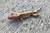 Crested Gecko for sale (Correlophus ciliatus) - AA3