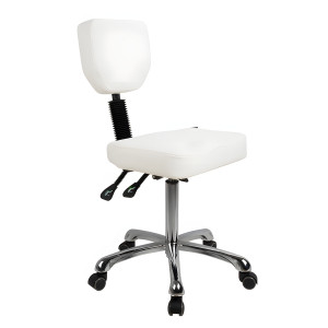 Contoured Rolling Stool with Back Support - Silver Fox 1030