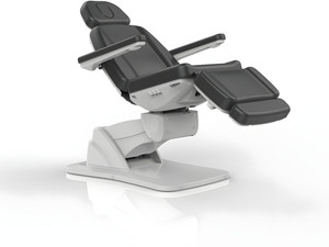 Silver Fox - Facial Bed and Exam Chair - 2271B