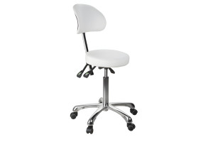 Rolling Stool with Back Support (3 motion) - Silver Fox 1025B