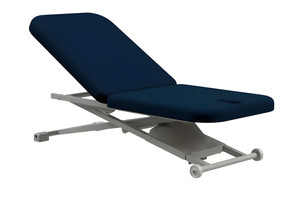 Oakworks - ProLuxe PT150 Electric Therapy-Exam Table
