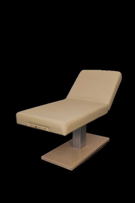 Earthlite Everest Spa Electric Lift Table