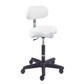 Equipro - Ergonomic Air-Lift Massage Stool (31300)