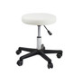 Terrell Facial Stool - TD001