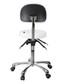 Rolling Stool with Back Support (3 motion) - Silver Fox 1025B