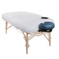Earthlite Deluxe Digital Massage Table Warmer