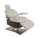 Living Earth Crafts - Tribeca™ All-in-One Medi-Spa Chair