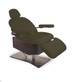 Living Earth Crafts - Tribeca™ All-in-One Medi-Spa Chair