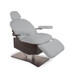 Living Earth Crafts - Tribeca™ All-in-One Medi-Spa Chair