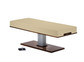 Living Earth Crafts - Pedestal™ Electric Lift Table