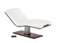Living Earth Crafts - Pedestal™ Electric Lift Table