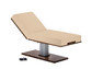 Living Earth Crafts - Pedestal™ Electric Lift Table