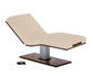 Living Earth Crafts - Pedestal™ Electric Lift Table