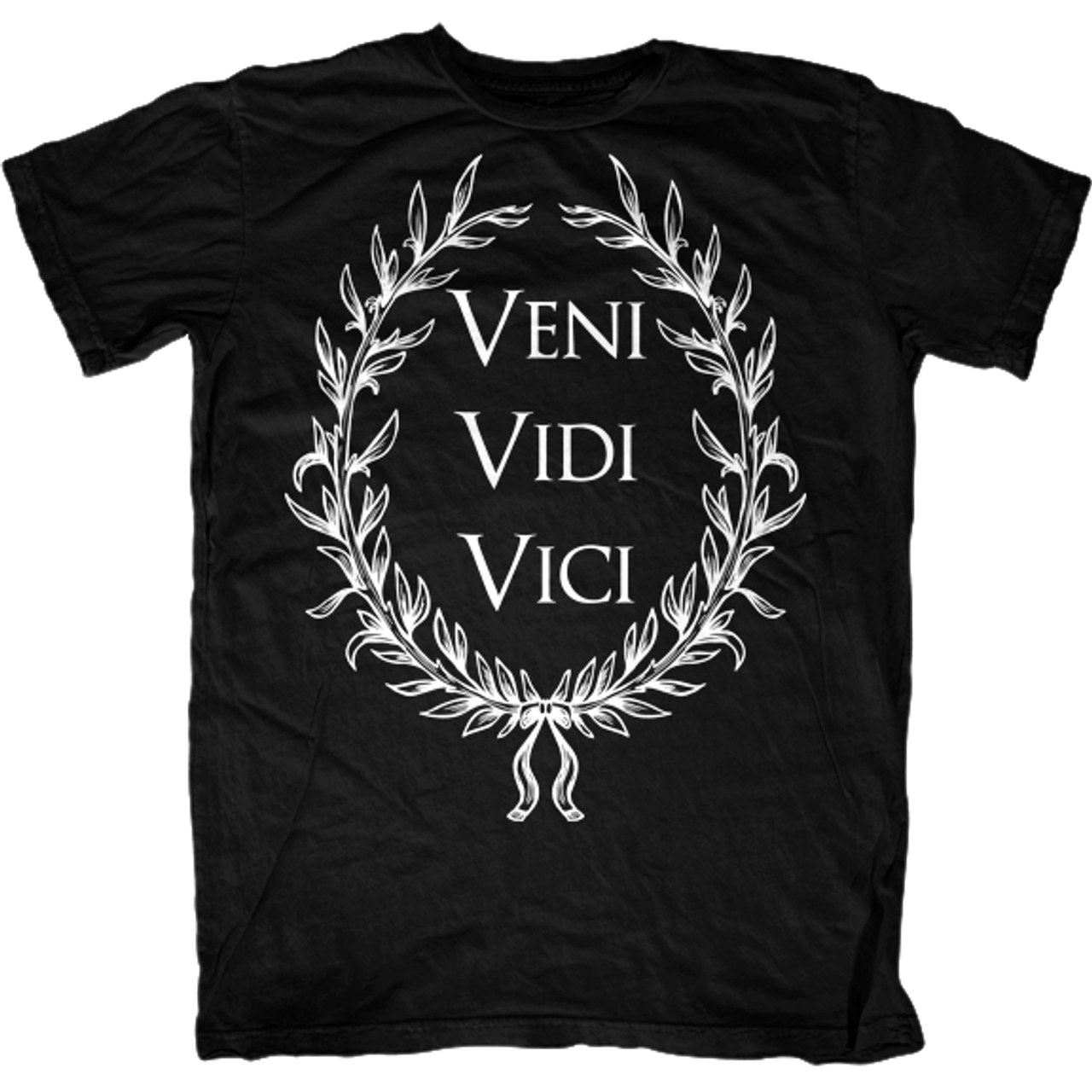 Veni vidi vici. Veni vidi Vici надпись. Veni vidi Vici картинки. Veni vidi Vici футболка. Veni vidi Vici обои.