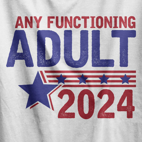 Any Functioning Adult 2024 Tee