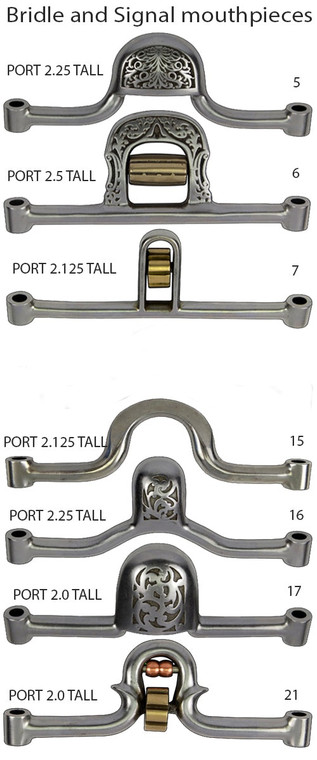 Nouveau Jeremiah Watt paire plaque plate arrière Cinch Dees 2 3/8 acier inoxydable selle western harnachement matériel - France